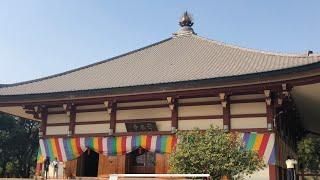 Indosan Nipponji Japanese Temple - Bodhi Day. Prayer ceremony organised by Mahabodhi Temple. 8.12.21
