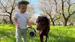 Baby And his Dog Find a Beautiful Place