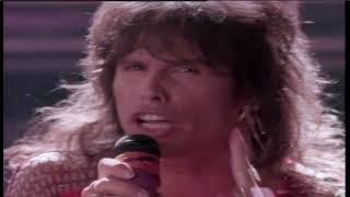 Aerosmith - Dude (Looks Like A Lady) (Album Version) Music Video