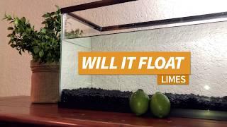 Will Limes Float? - Fruit Edition