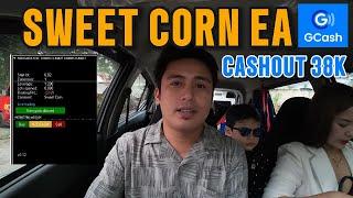 Sweet Corn EA Update sa 2M na Capital