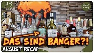 Haiangriff! Der Whisky des Jahres?! | August 2024 Whisky Recap