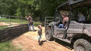 Hunter Cattle GA Farm Monitor