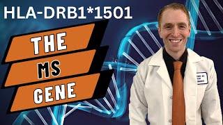 Neurologist Explains The Multiple Sclerosis Gene    HLA-DRB1*1501