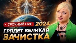 Человечество совсем скоро столкнется с новой фазой перехода, нужно быть готовыми к.. Мара Боронина