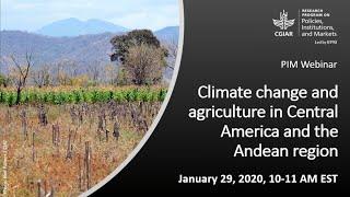 Climate change and agriculture in Central America and the Andean region