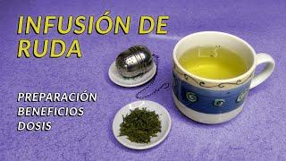 Cómo preparar Infusión de ruda | propiedades y precauciones | un té con Daniela