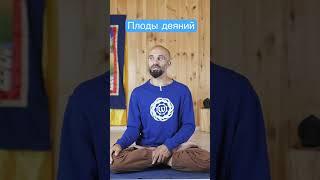 Плоды жизни