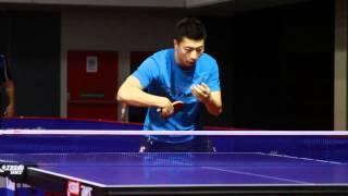 Ma Long - perfect mechanics #2