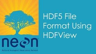 A Quick Look at the HDF5 File Format Using HDFView
