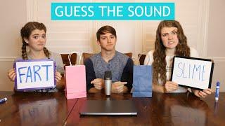 GUESS THE SOUND | Impossible?