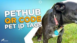 Review: PetHub QR Code Lost Pet Tags