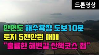 [매물502] 안면도 해수욕장 도보10분 토지 5천만원 매매