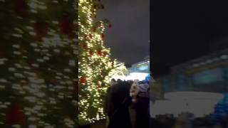 Новогодние вечера в Москве