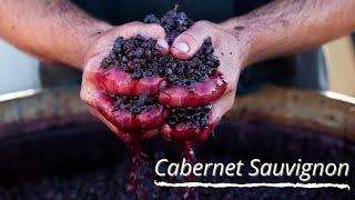 Averys Focus On... Wine Grapes: Cabernet Sauvignon