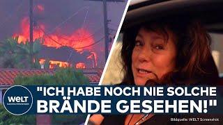 LOS ANGELES: Riesiger Waldbrand bedroht Vorort! "Einfach alles brennt!" 30.000 Menschen betroffen!