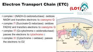 Metabolism Module   Session 4  -Lecture 1\By KMSA