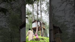 HUT LOCATED IN TREES  AT BANJOSA LAKE RAWALAKOT #banjosalake #tree #hut #rawalakot