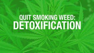 Quit Smoking Weed: Detox