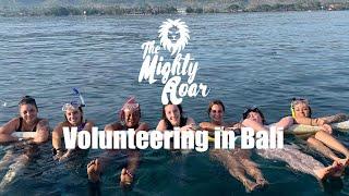 Volunteering in Bali