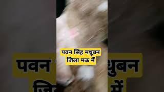 गोदी में लेके जनि खोदी ये जीजा जी#pawansingh#shilpiraj #viral #shortvideos