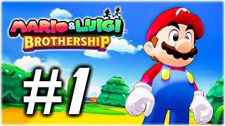 Mario and Luigi Brothership - Gameplay Walkthrough Part 1 (No Commentary)