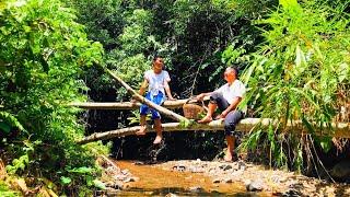 The Contentment of Life | Scenery, Fern, meat, soy sauce | Simple living - Kuya Dhon