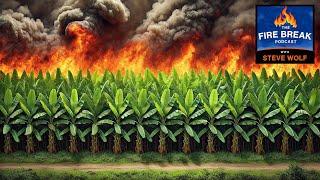Bananas vs. Wildfires? Xiao Fu’s Radical Firebreak Solution!