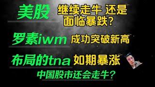 （2024.11.9）美股 继续走牛还是面临暴跌？小盘股iwm突破新高，tna如期暴涨。特斯拉明年继续走牛？中国股市还会走牛吗？？ ————每周必看的美股周末回顾