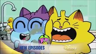 Disney Channel Asia | TGIF Promo #1 (Obds, SVTFoE, Harry & Bunnie and Counterfiet Cat) May 20, 2016