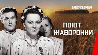 Поют жаворонки (1953) фильм