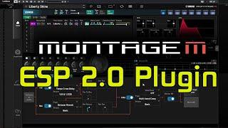 Yamaha Montage M ESP 2.0: Installation and Testing