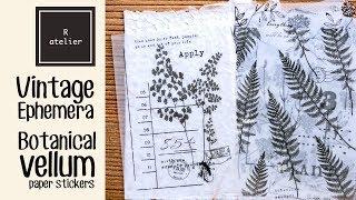 Botanical Ephemera Vellum Paper Stickers