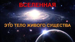 Живая вселенная. Вселенная, это тело огромного сверх существа. Макро мир. Смотреть фильм Вселенная.