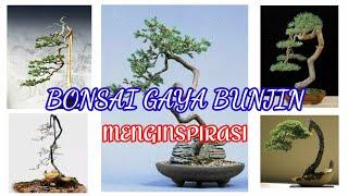 Bonsai Gaya Bunjin Menginspirasi