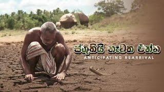ස්තුතියි නැවත එන්න | Sthuthi Newatha Enna | Sinhala Movie | Hemasiri Liyanage | Damitha Abeyratne