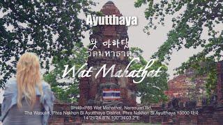 왓 마하탓 / วัดมหาธาตุ / Wat Mahathat  브이로그 여행(태국→아유타야 Ayutthaya)  | 4K