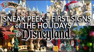 A Sneak Peek & First Look at the Holiday Decorations at Disneyland for 2018!