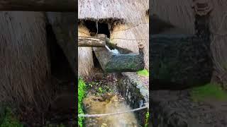 Amazing trick: Harnessing the power of nature to grind rice #farming #skills  #carpfishing