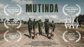 From Infamous Poacher to Conservation Hero | MUTINDA (short documentary)