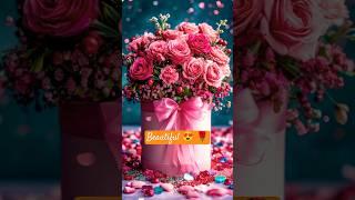 natural beauty short video || Nature Beautiful Shorts || beautiful flowers video || #rose #love