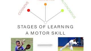 Stages of Learning: Skill Acquisition - PE & Sport (Motor Skills)