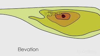 What Is Topography?