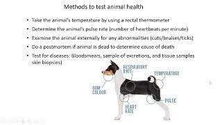 Animal health   Lesson 1