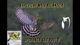 Expedição Mata Atlântica Ep 8 Iporanga -São Paulo