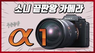 소니 최종합체 끝판왕 카메라 : Sony A1