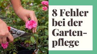 8 Fehler bei der Gartenpflege im Hochsommer und wie Sie diese vermeiden