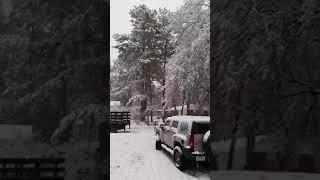 Nieve en Garner N.C enero 2018