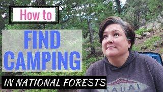 How to FIND FREE CAMPING in National Forests! 7 TIPS, The RULES, & MY LAST 3 SPOTS!