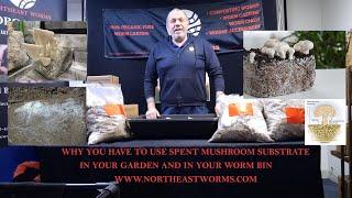 Why you have to use spent mushroom substrate  in your worm bin and in your garden.